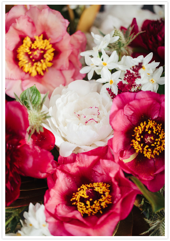 flowers by Brown Paper Design flowers by Brown Paper Design
