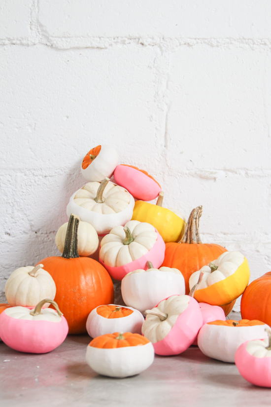 No carve pumpkin ideas